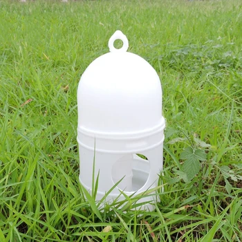 D7WA Поилка для голубей Автоматический Дозатор воды для птиц Пластиковое Оборудование для кормления
