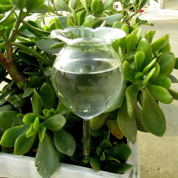 Внутреннее Прозрачное Автоматическое Цветочное стекло, устройство для полива садовых растений, Спринклерное устройство для полива, Канистры для воды, Автоматические инструменты для дома