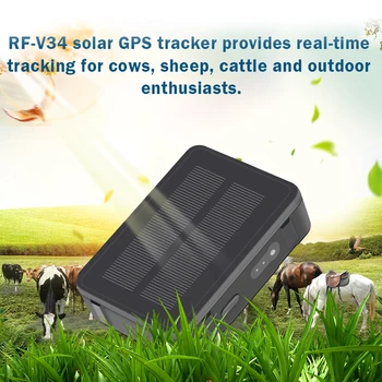 Водонепроницаемый GPS-трекер для животных RF-V34 GSM четырехдиапазонное отслеживание в реальном времени Голосовой мониторинг SOS Гео-забор Отображение исторического маршрута