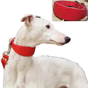 Ошейник для Домашних Собак из Воловьей Кожи, Прочное Регулируемое Ожерелье для Маленьких/Средних Собак Gree Greyhound Whippet